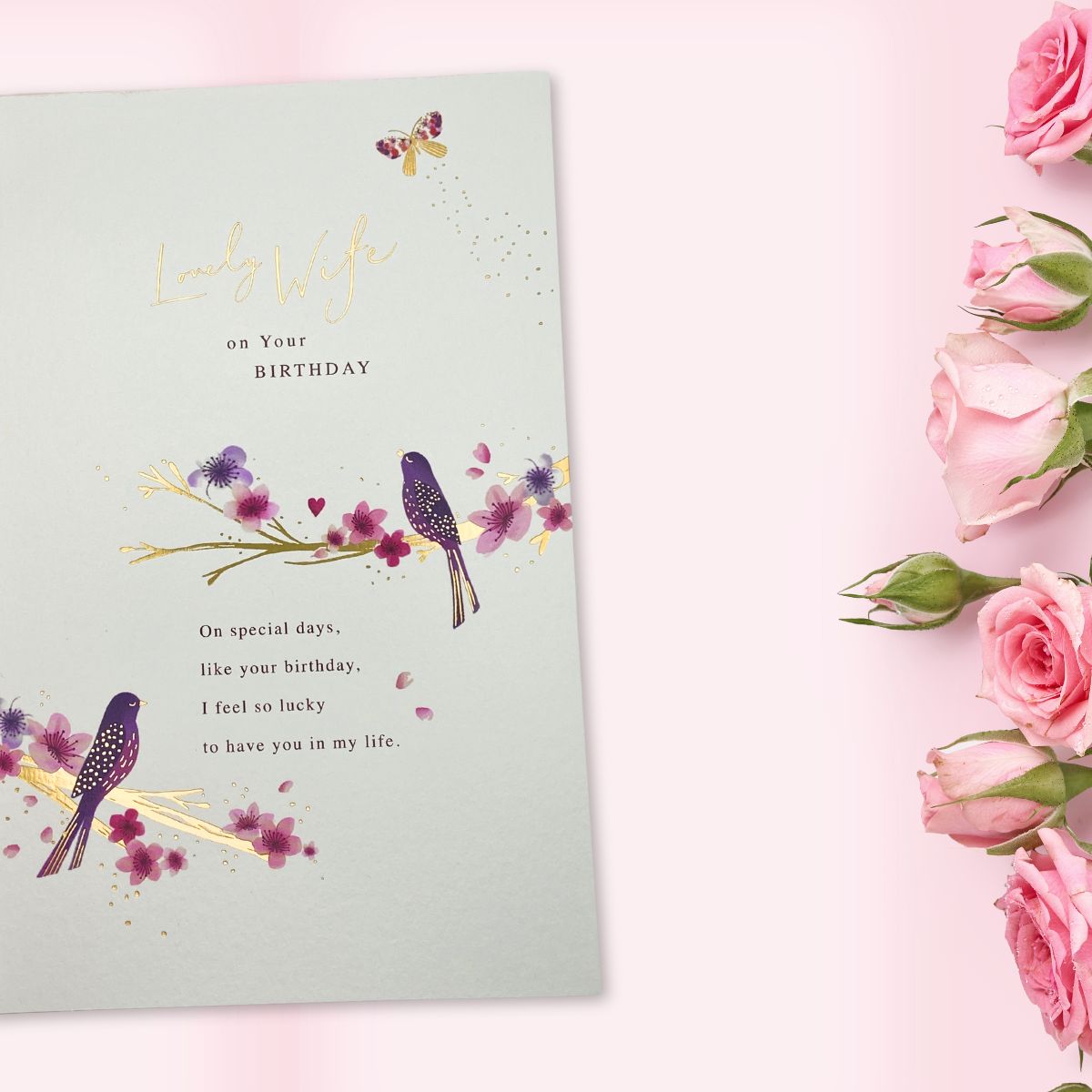 Wife Birthday Card - 3-Fold Purple Birds & Blossom
