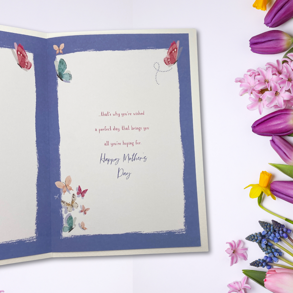 Mam Mother's Day Card - Skylight Butterfly Jar