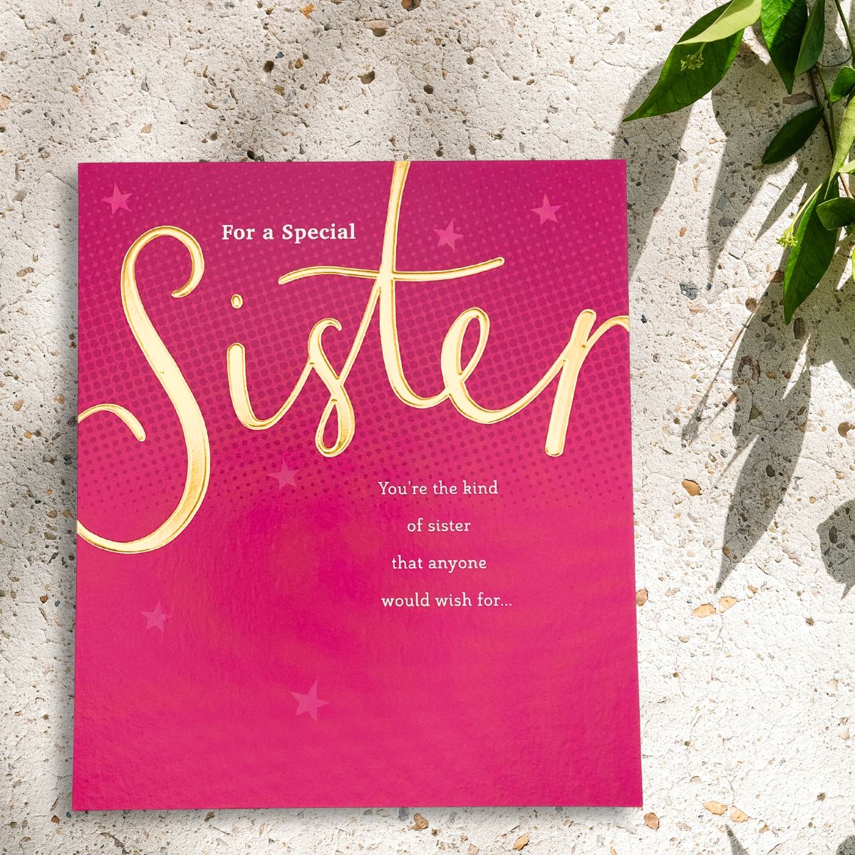 Sister Birthday Card - You're The Kind Of Sister...