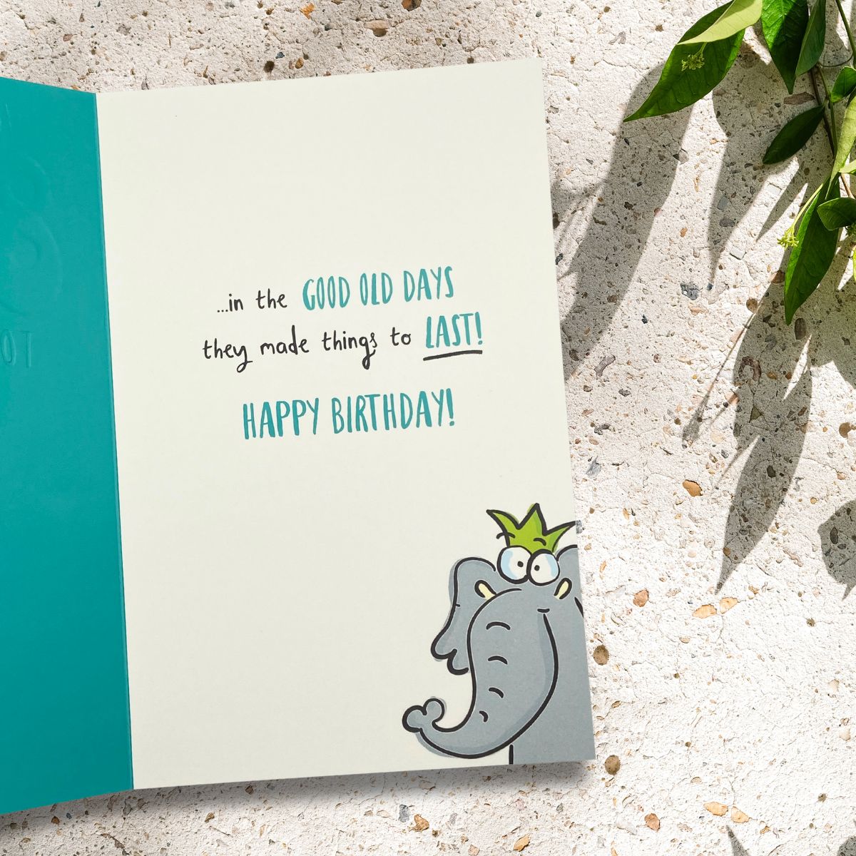 80th Birthday Card - Giggles