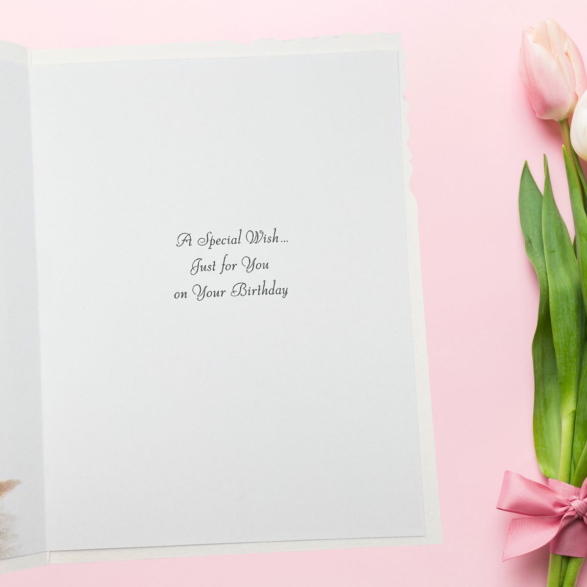 Velvet Birthday Card - Puppy & Bird Table