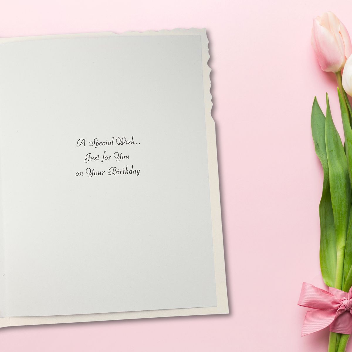 Velvet Birthday Card - Kittens & Oriental Lanterns