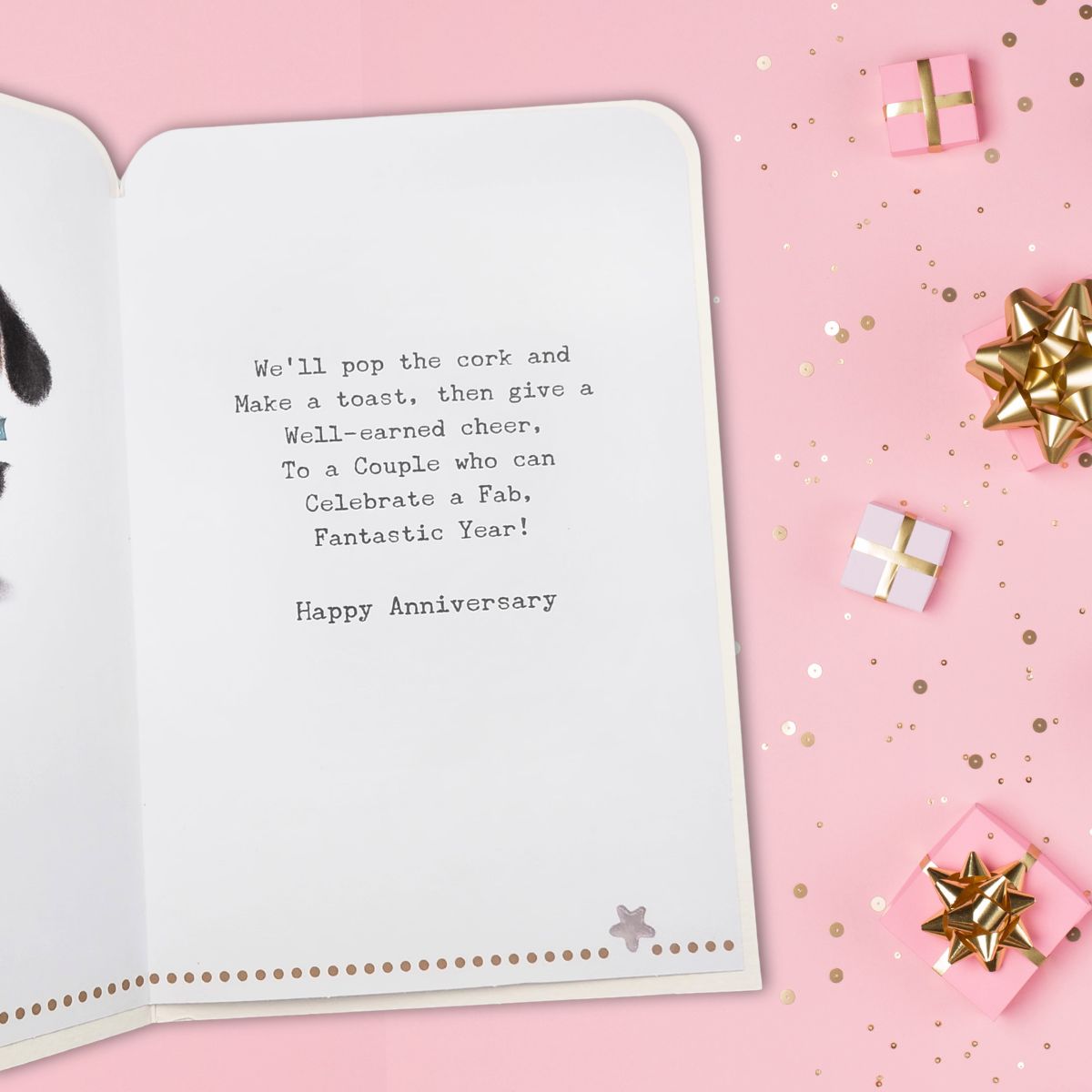 Brother & Sister-In-Law Wedding Anniversary Card - Fudge & Friends