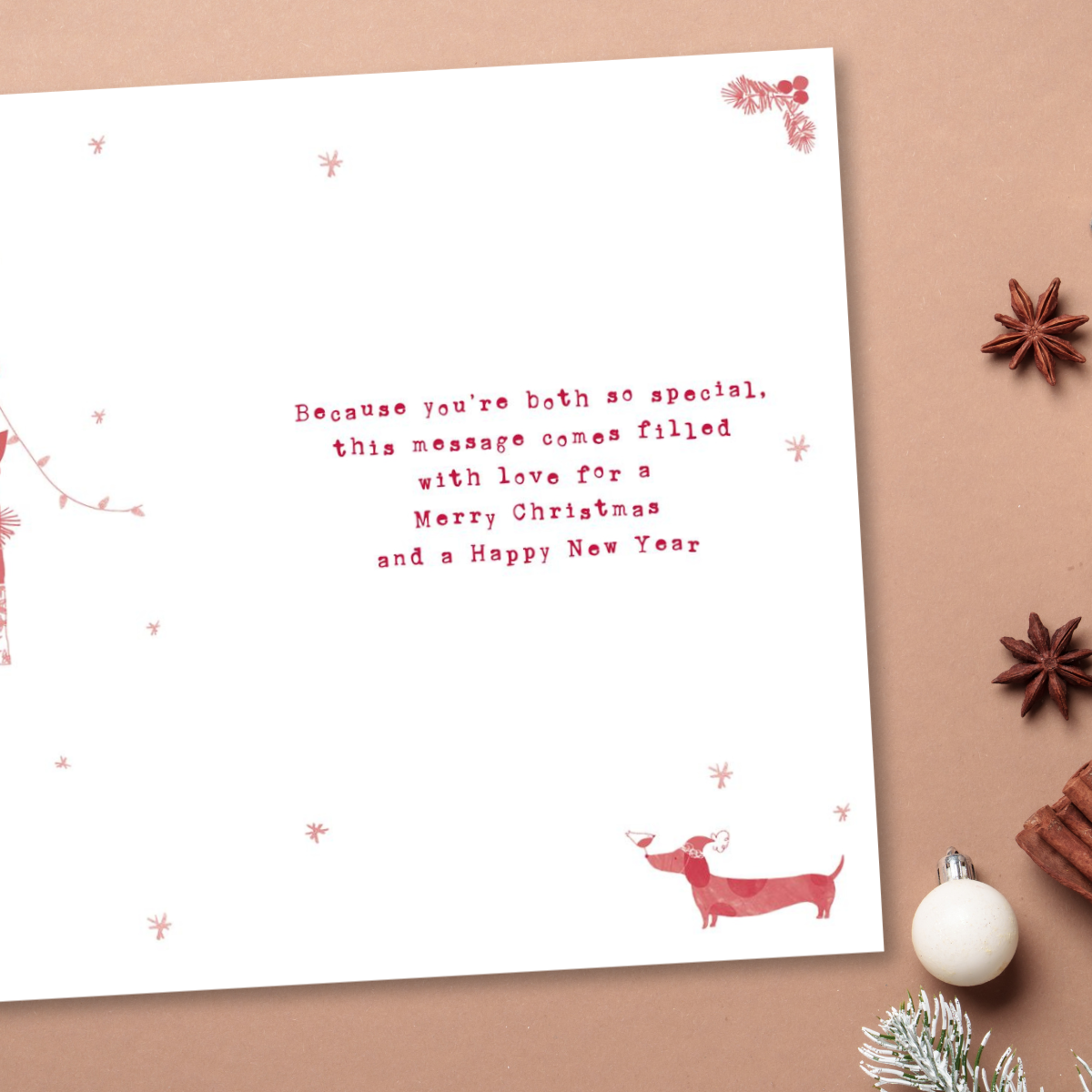 Brother & Sister-In-Law Christmas Card - Sausage Dogs