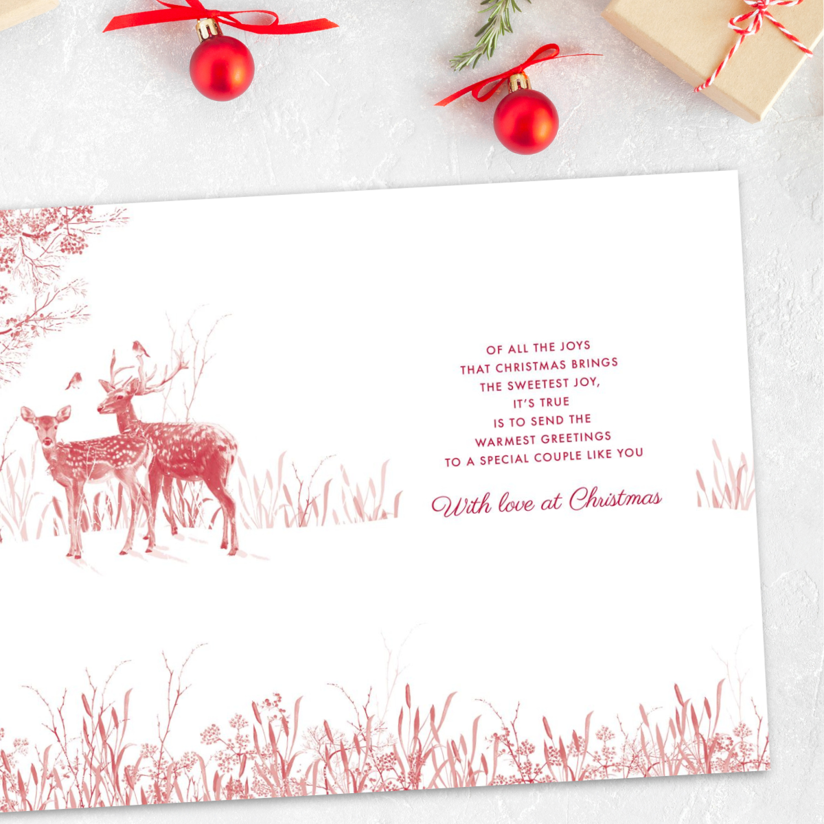 Special Couple Christmas Card - Deer & Robins