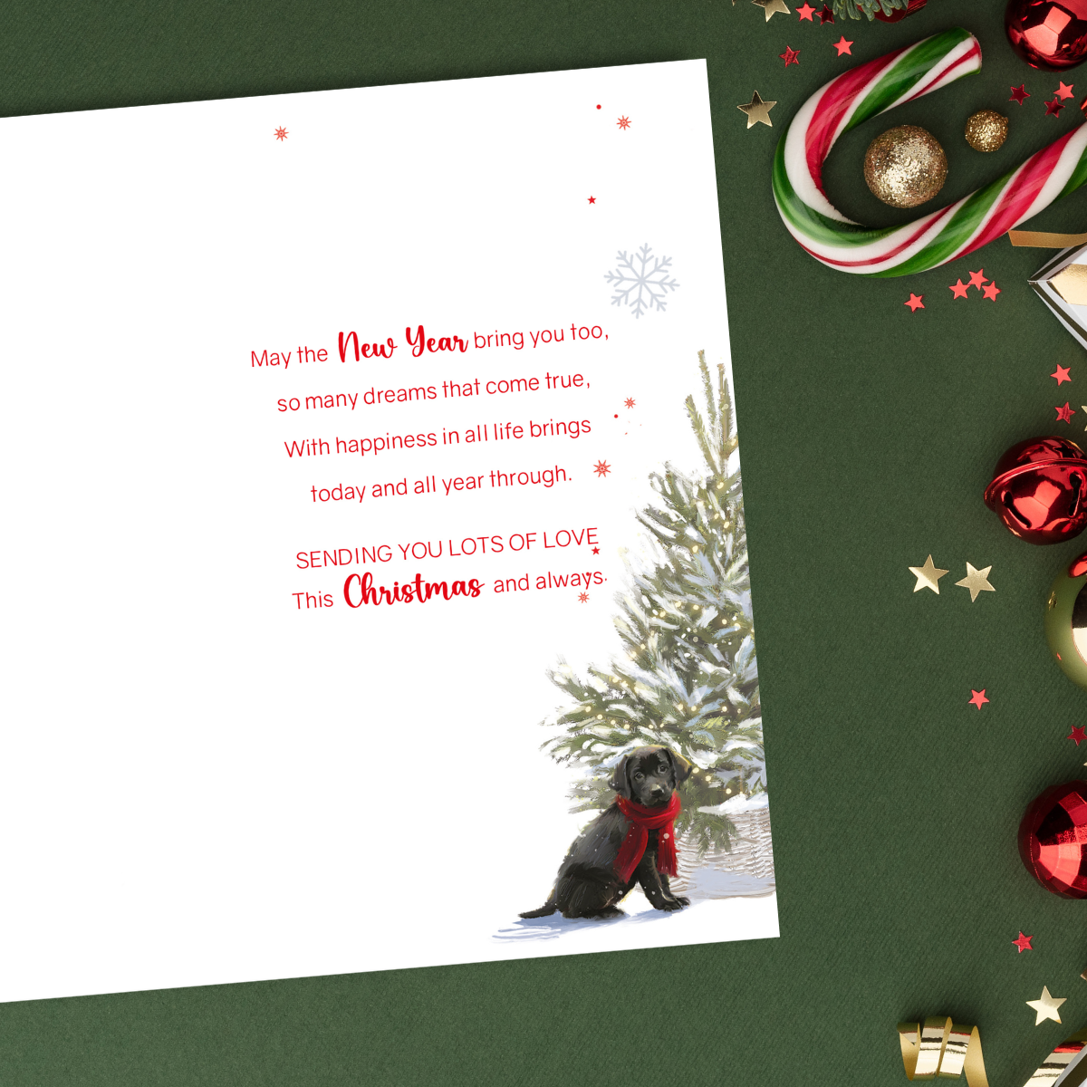 Son Christmas Card - Puppy At The Door
