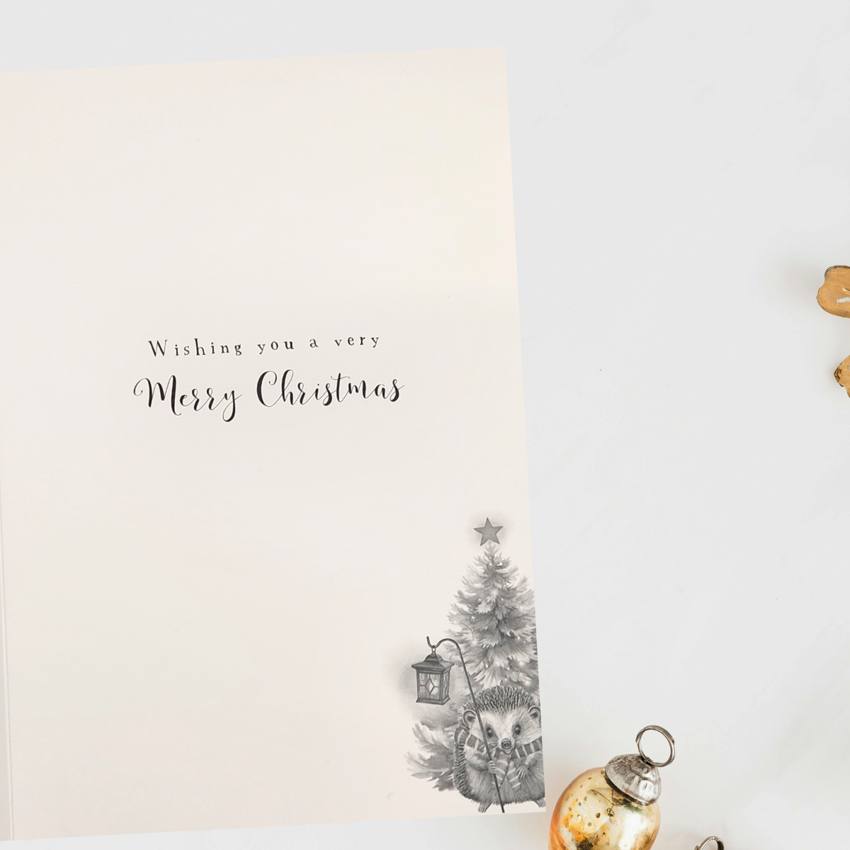 Friends Christmas Card - Hedgehogs Carol Singing