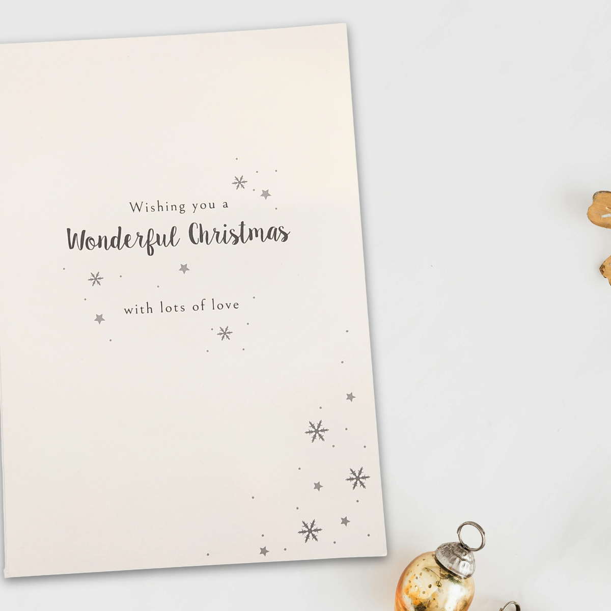 Both Of You Christmas Card - Snowy Donkeys