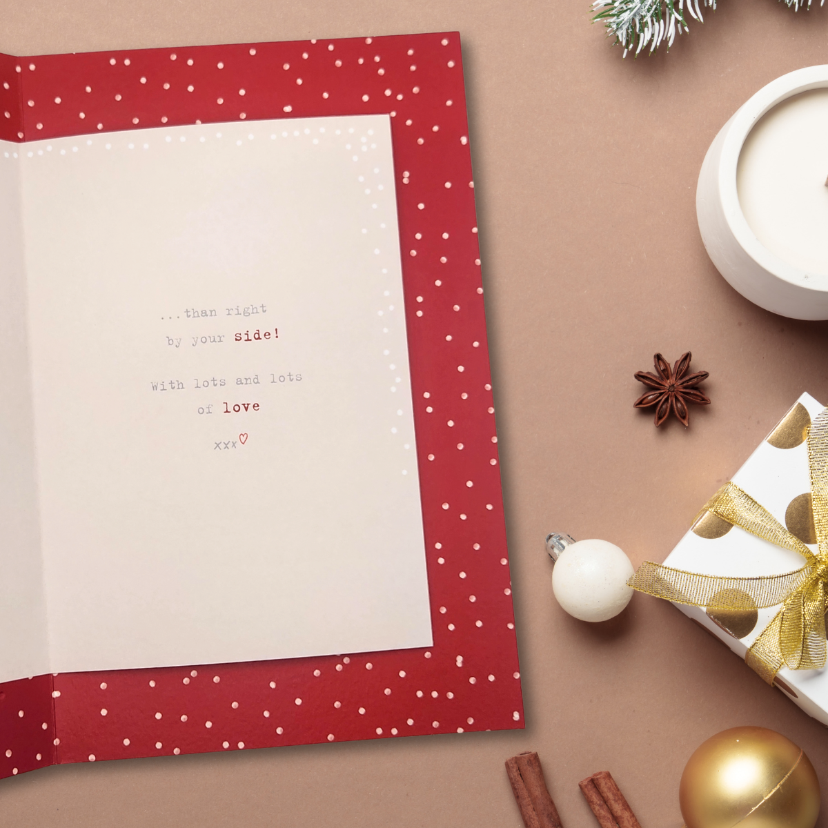 Husband Christmas Card - Boofle Bears & Robin