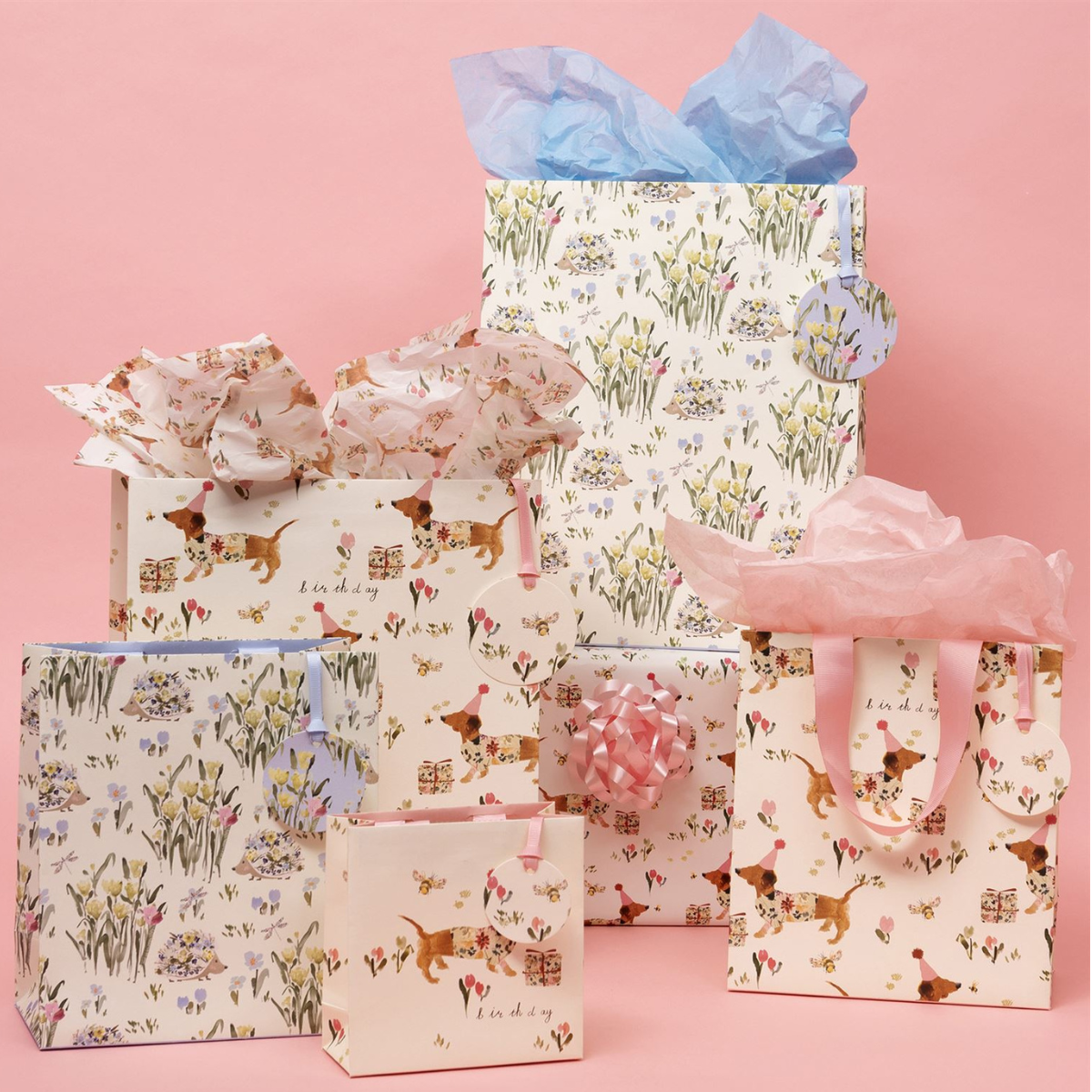 Gift Bag Large - Sausage Dog Party