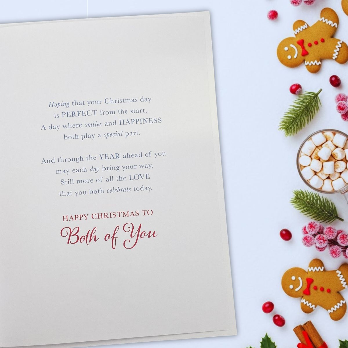 Both Of You Christmas Card - Robin In Wellies