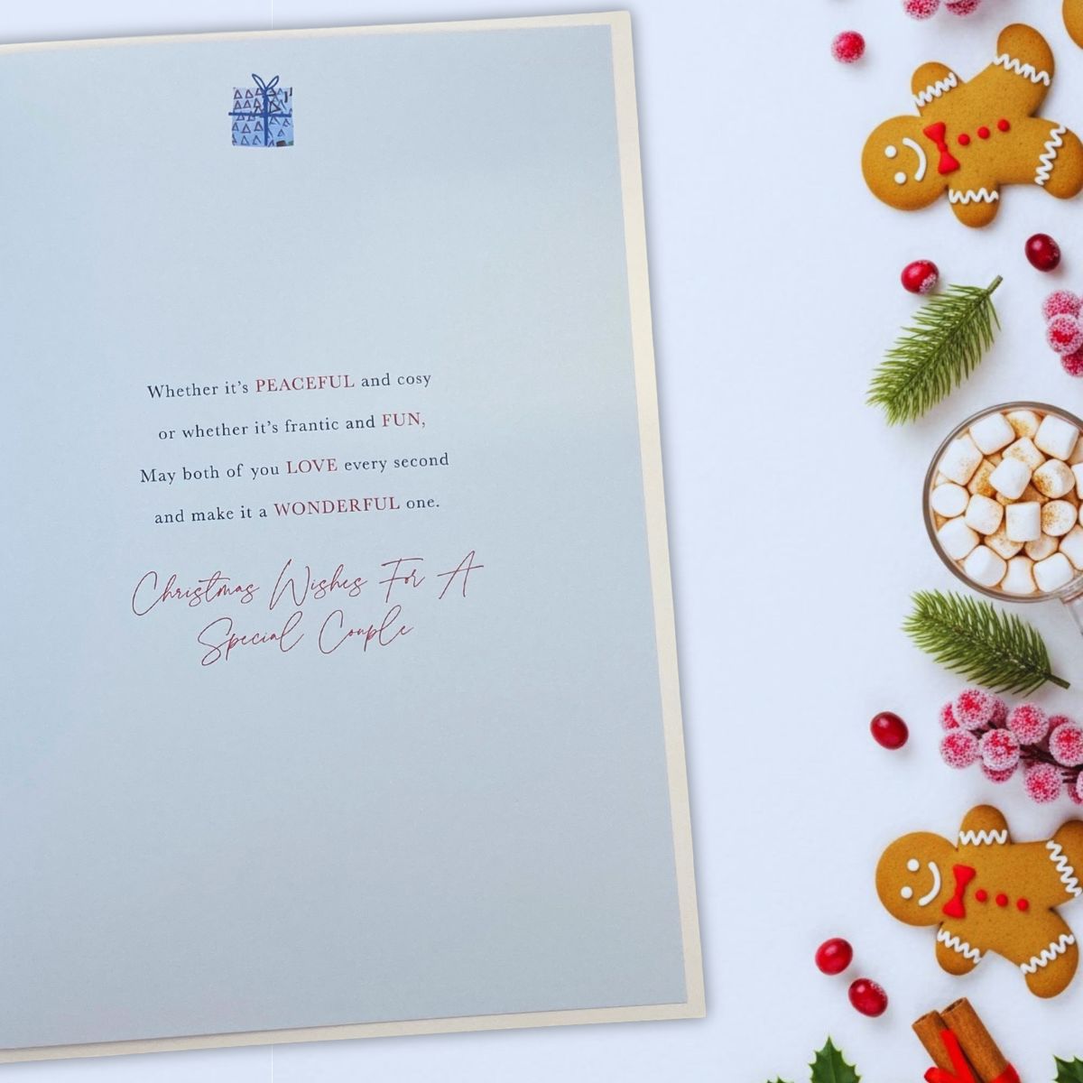 Special Couple Christmas Card - Penguin Hand In hand