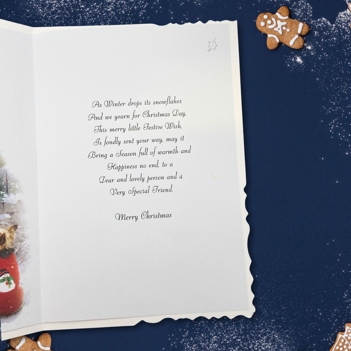 Friend Christmas Card - Velvet Santa Paws