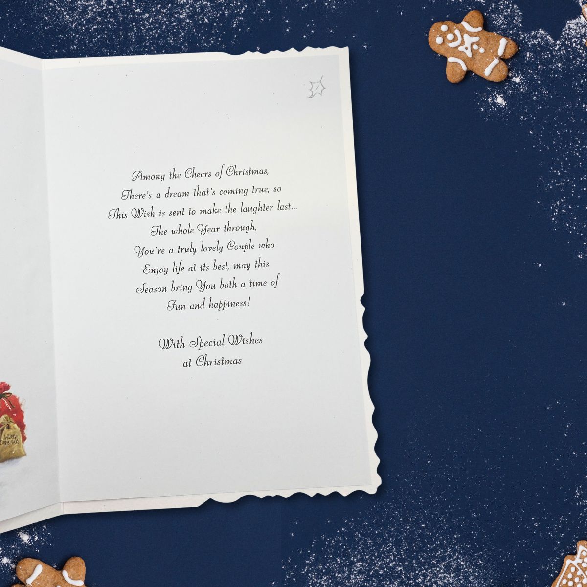 Grandson & Partner Christmas Card - Velvet Geese