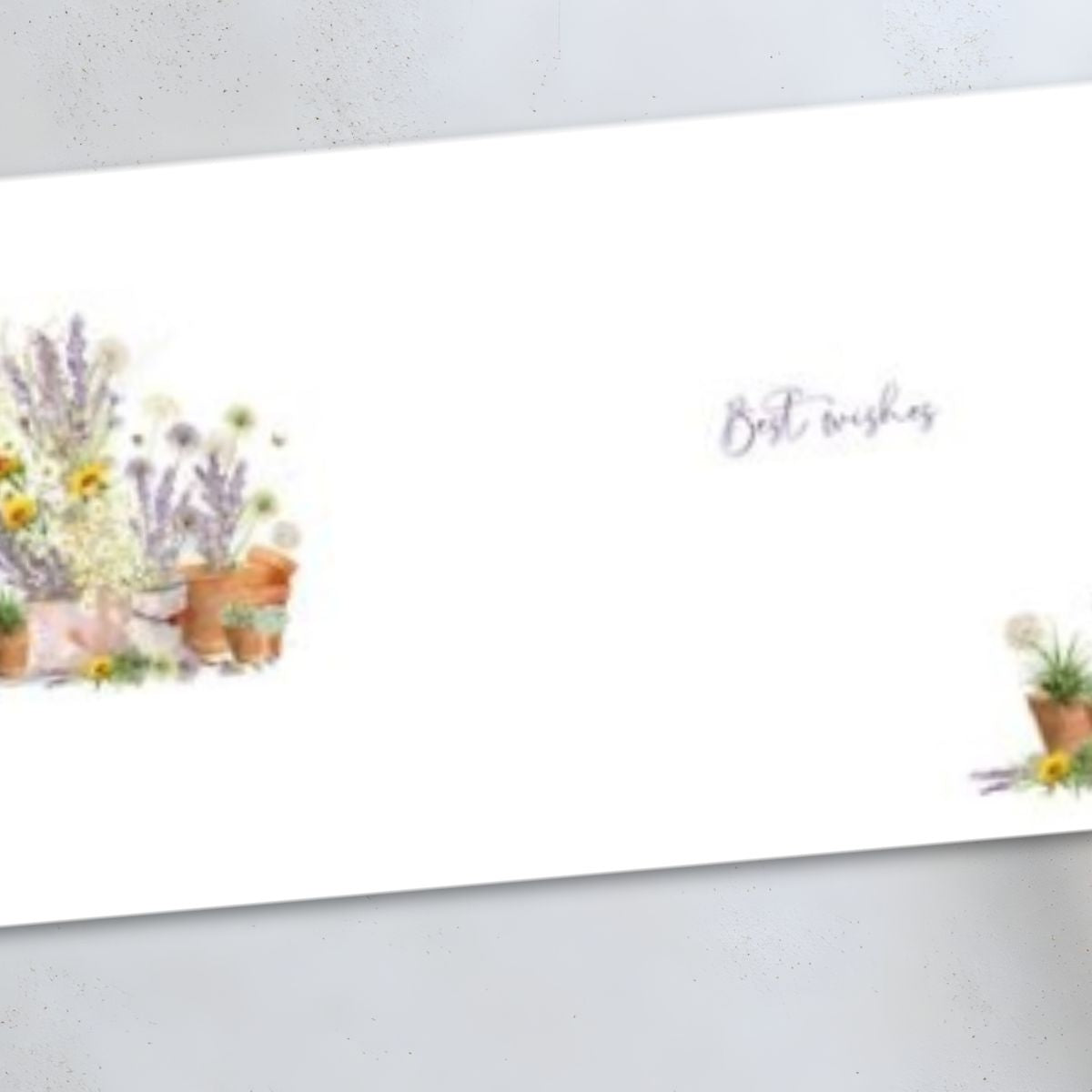 Pizazz Birthday Card - Lavender Pots