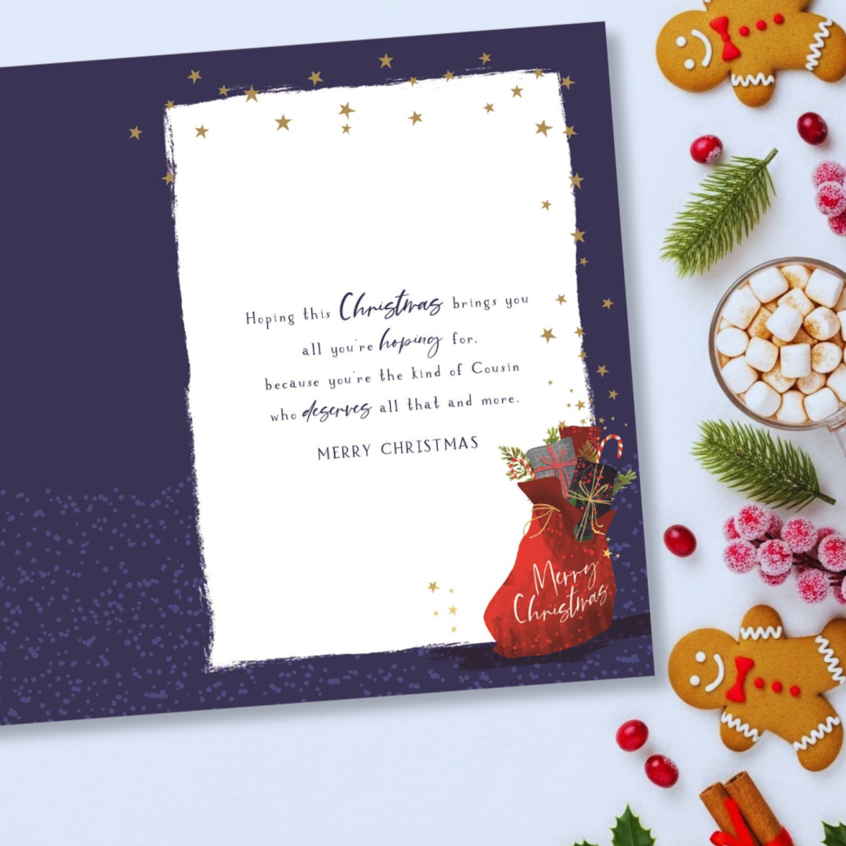 Cousin Christmas Card - Skylight Sack