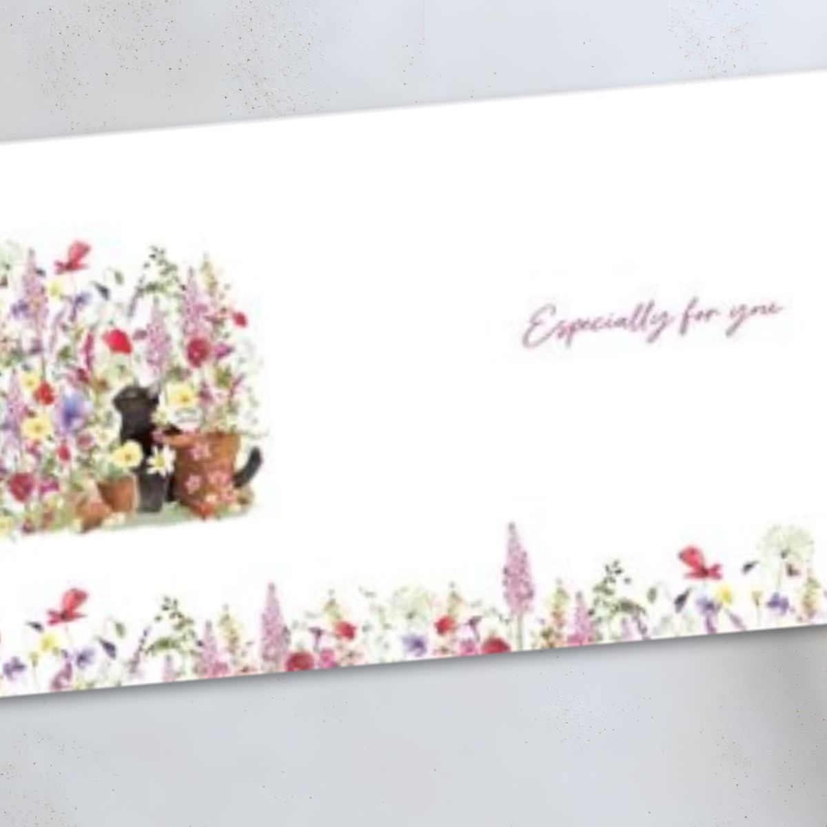 Pizazz Birthday Card - Cat In The Garden