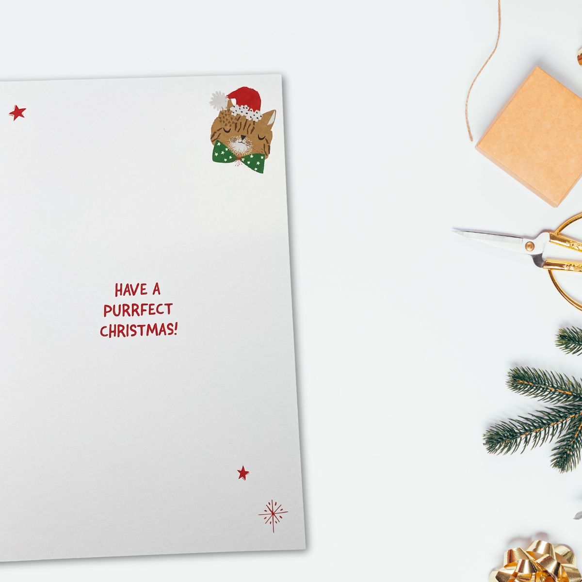 To The Cat Christmas Card - Cartoon Cats