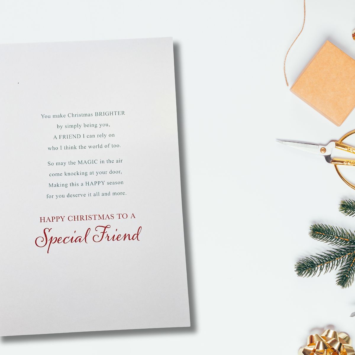 Friend Christmas Card - Festive Robins & Watering Can