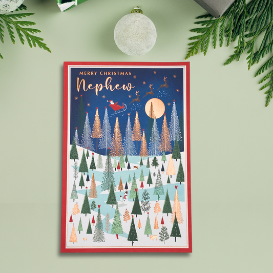 Nephew Christmas Card - Pizazz Sleigh Over The Forest