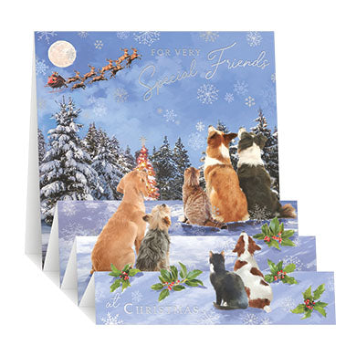 Friends Christmas Card - Zig Zag Pop Up