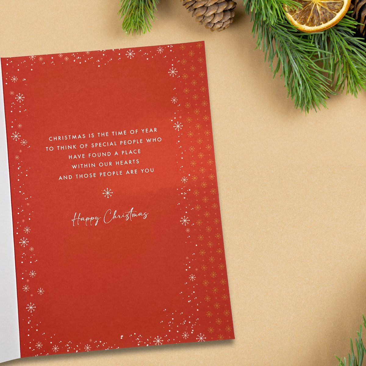 Special Couple Christmas Card - Reindeer & Robins