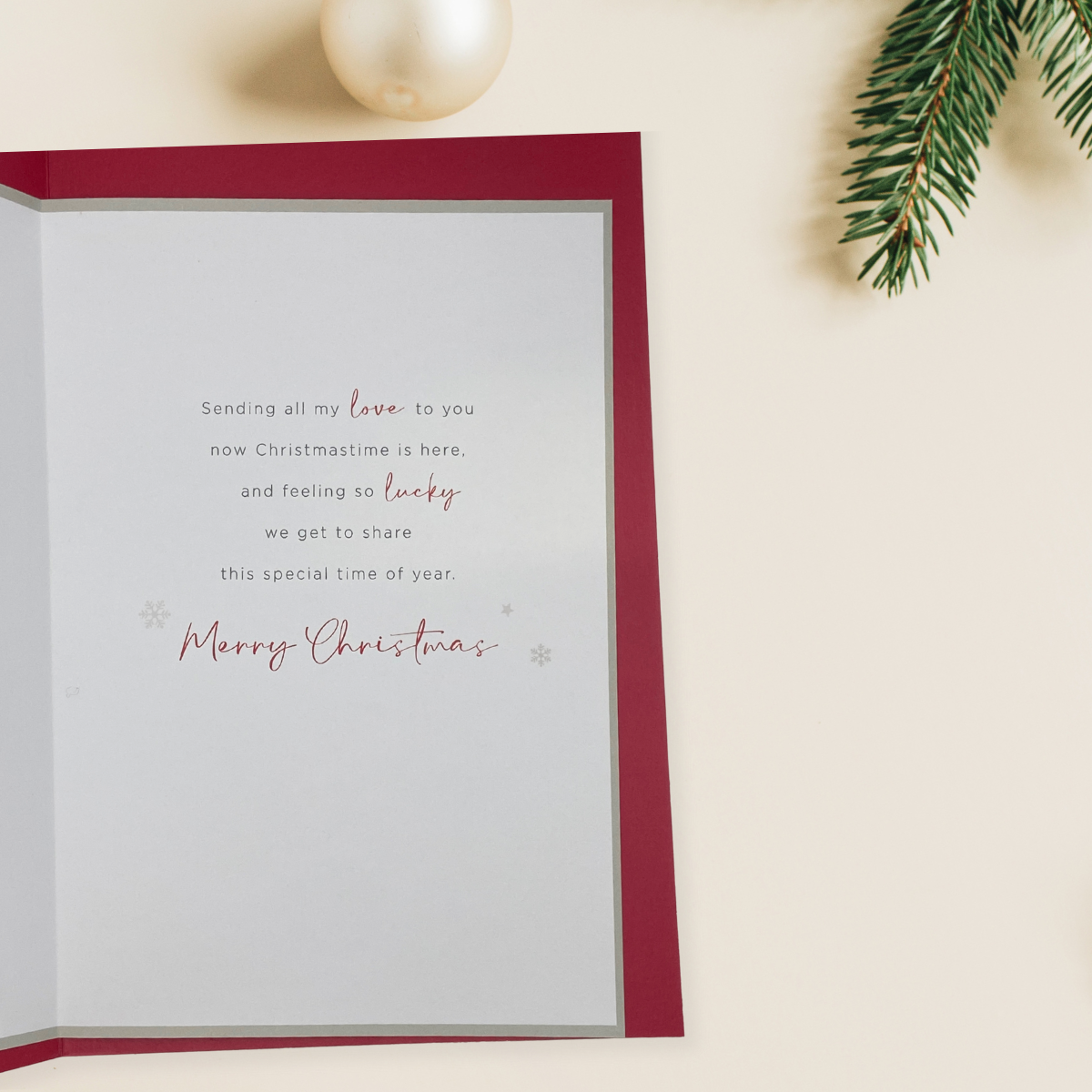 Husband Christmas Card - Robins