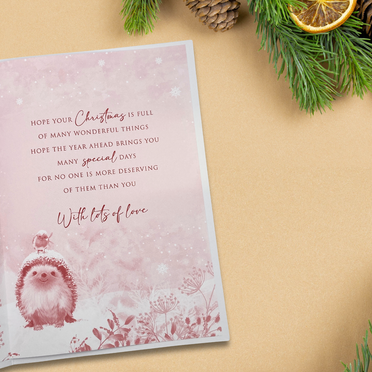 Daughter Christmas Card - Hedgehog & Robin