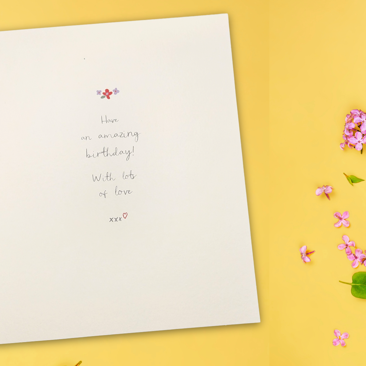 Auntie Birthday Card - Boofle Flower Box
