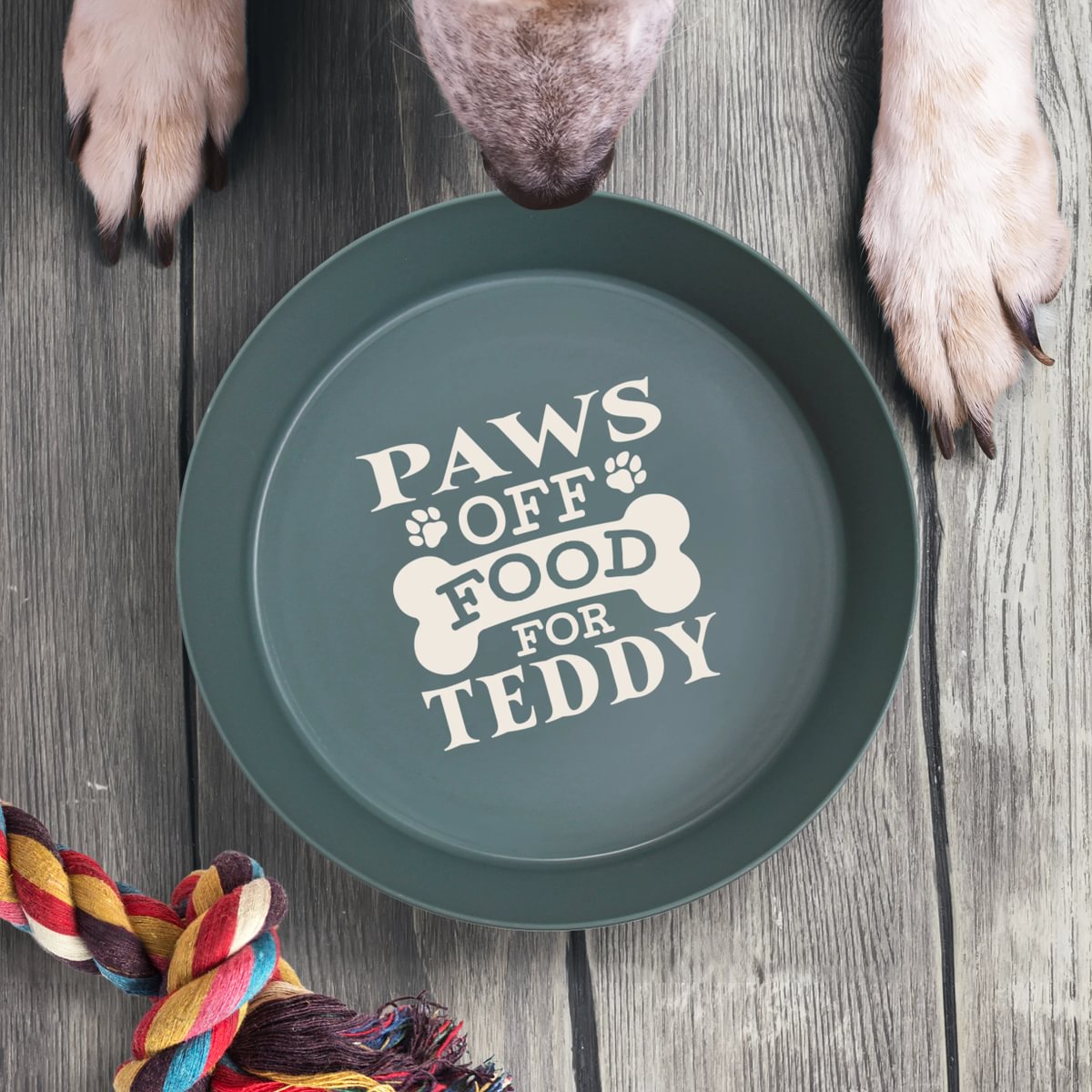 Personalised Dog Bowl - Teddy