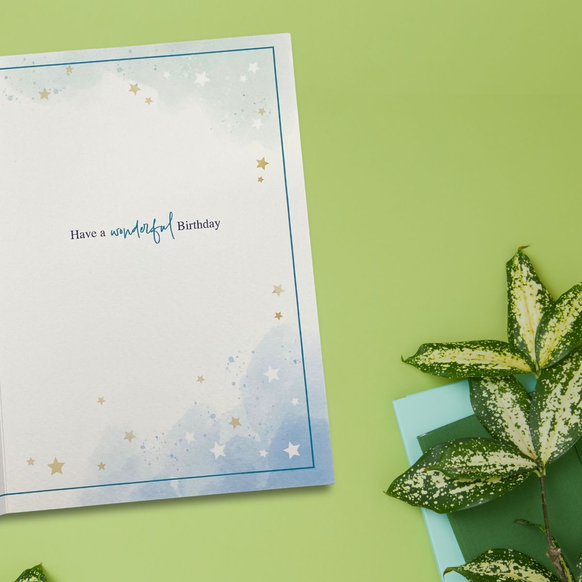 Awash With Colour Birthday Card - Garden Shed