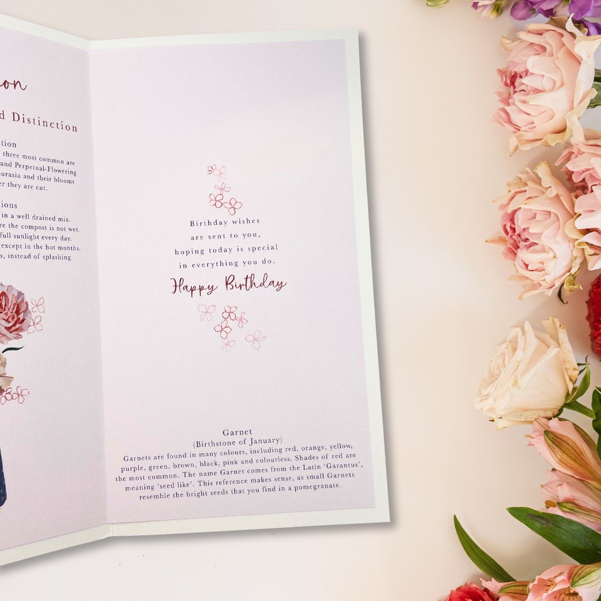 January Birthday Card - Month You Were Born Carnation