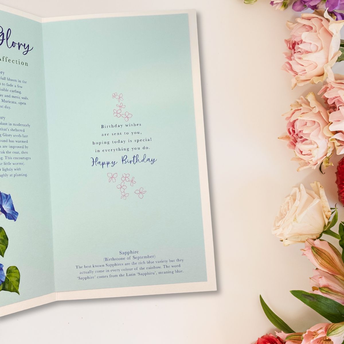 September Birthday Card - Morning Glory