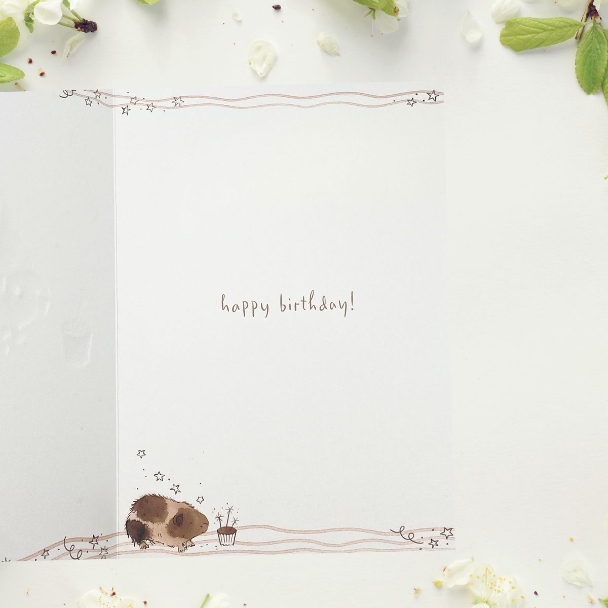 Brush & Whisker Birthday Card - Guinea Pig