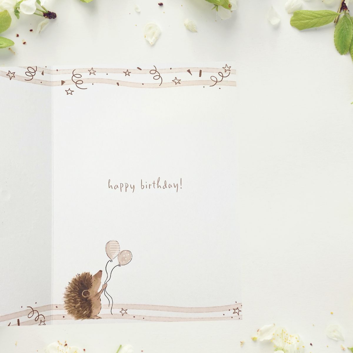 Brush & Whisker Birthday Card - Hedgehugs