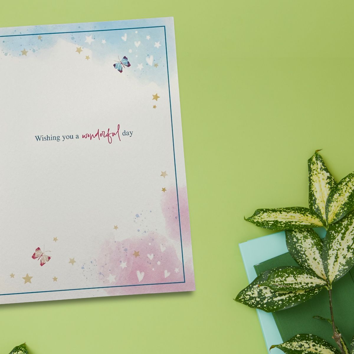 Awash With Colour Birthday Card - Florist & Cat