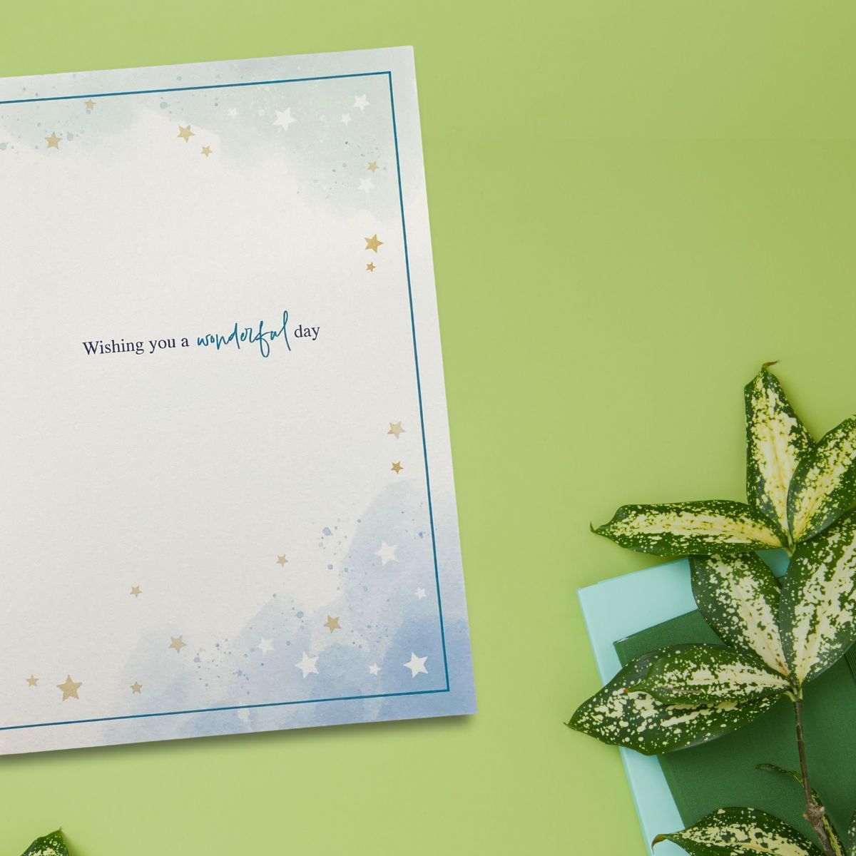 Awash With Colour Birthday Card - Dog Walk