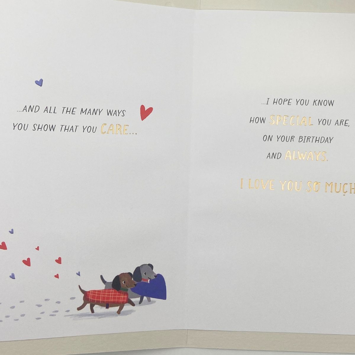 Husband Birthday Card - Sausage Dogs
