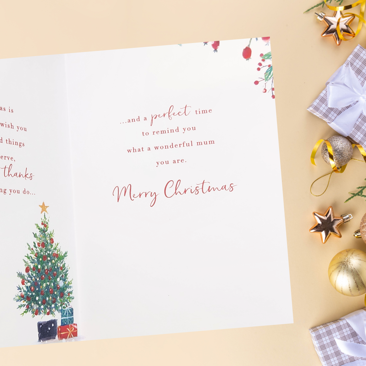 Mum Christmas Card - Front Door Visitors