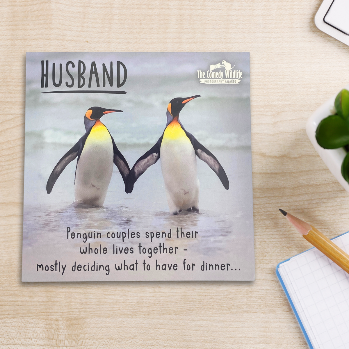 Husband Birthday Card -  Comedy Wildlife