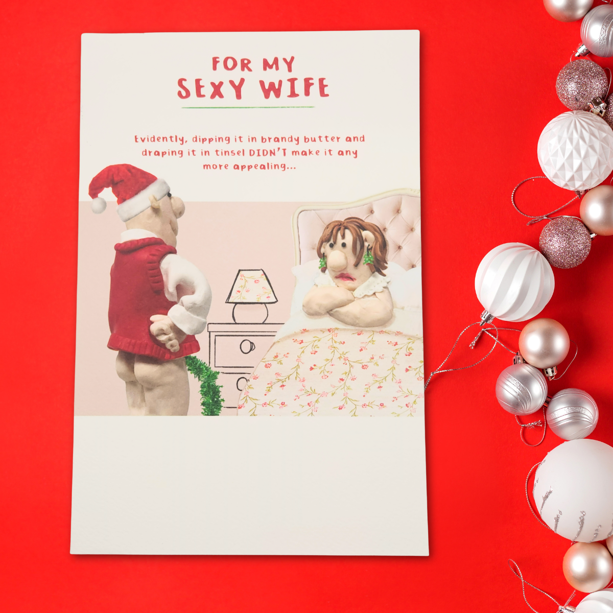 Wife Christmas Card - Model Family Humour