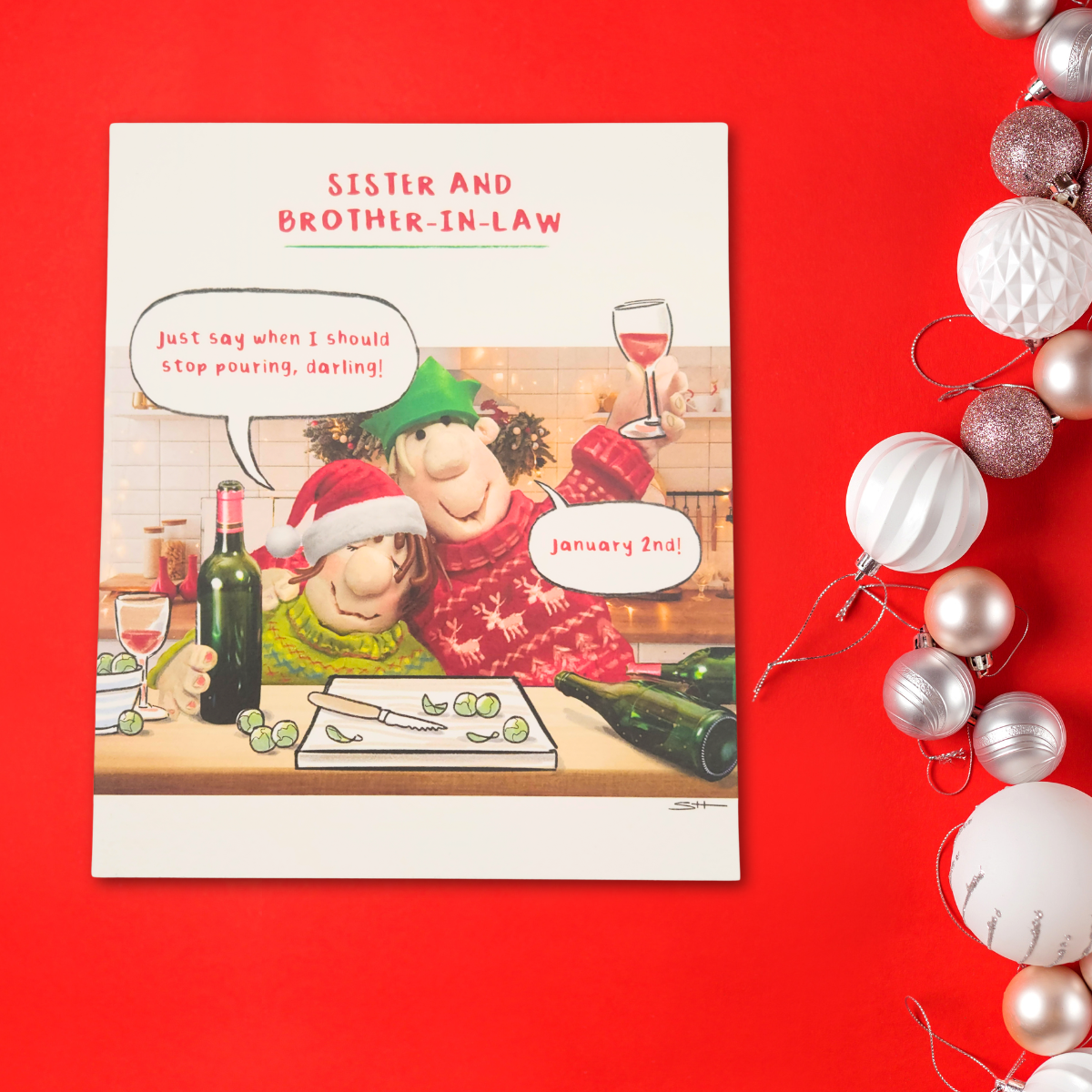 Sister & Brother-In-Law Christmas Card - Model Family Humour