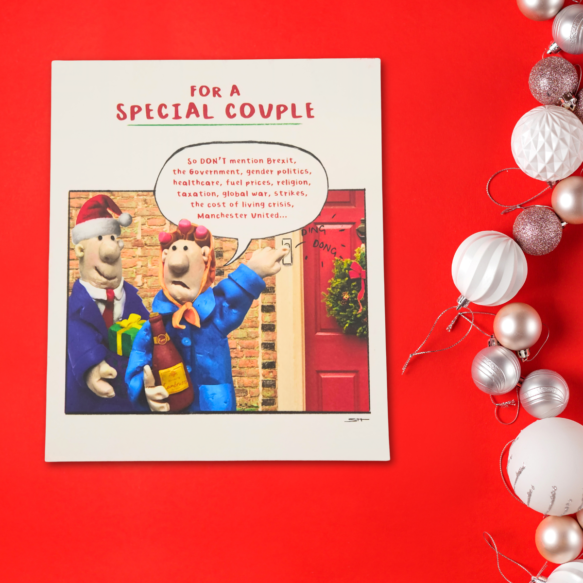 Special Couple Christmas Card - Model Family Humour