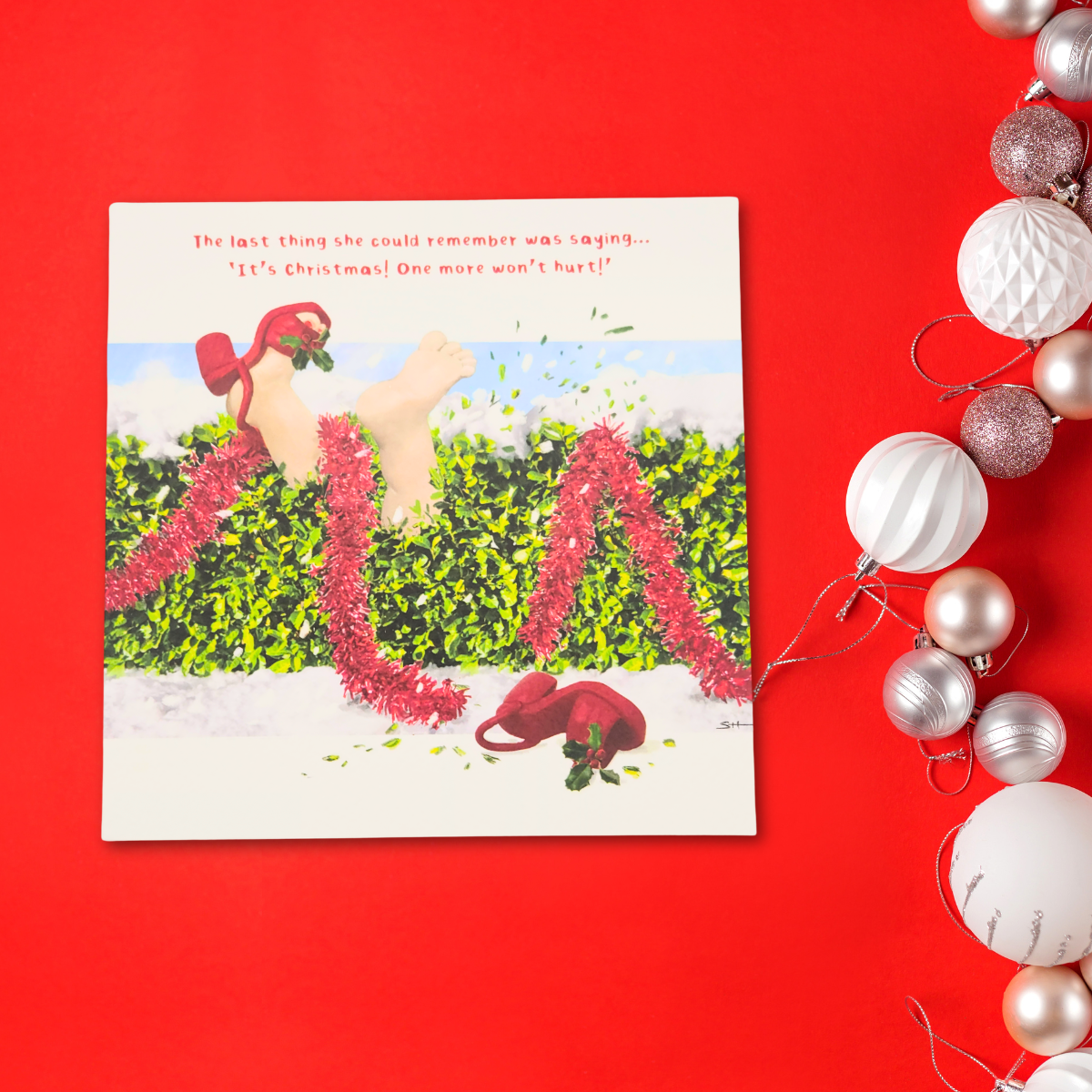 Open Christmas Card - Model Family One More Wont Hurt!
