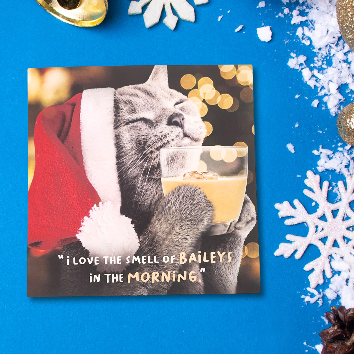 Funny Christmas Card - Virtual Safari Baileys In The Morning