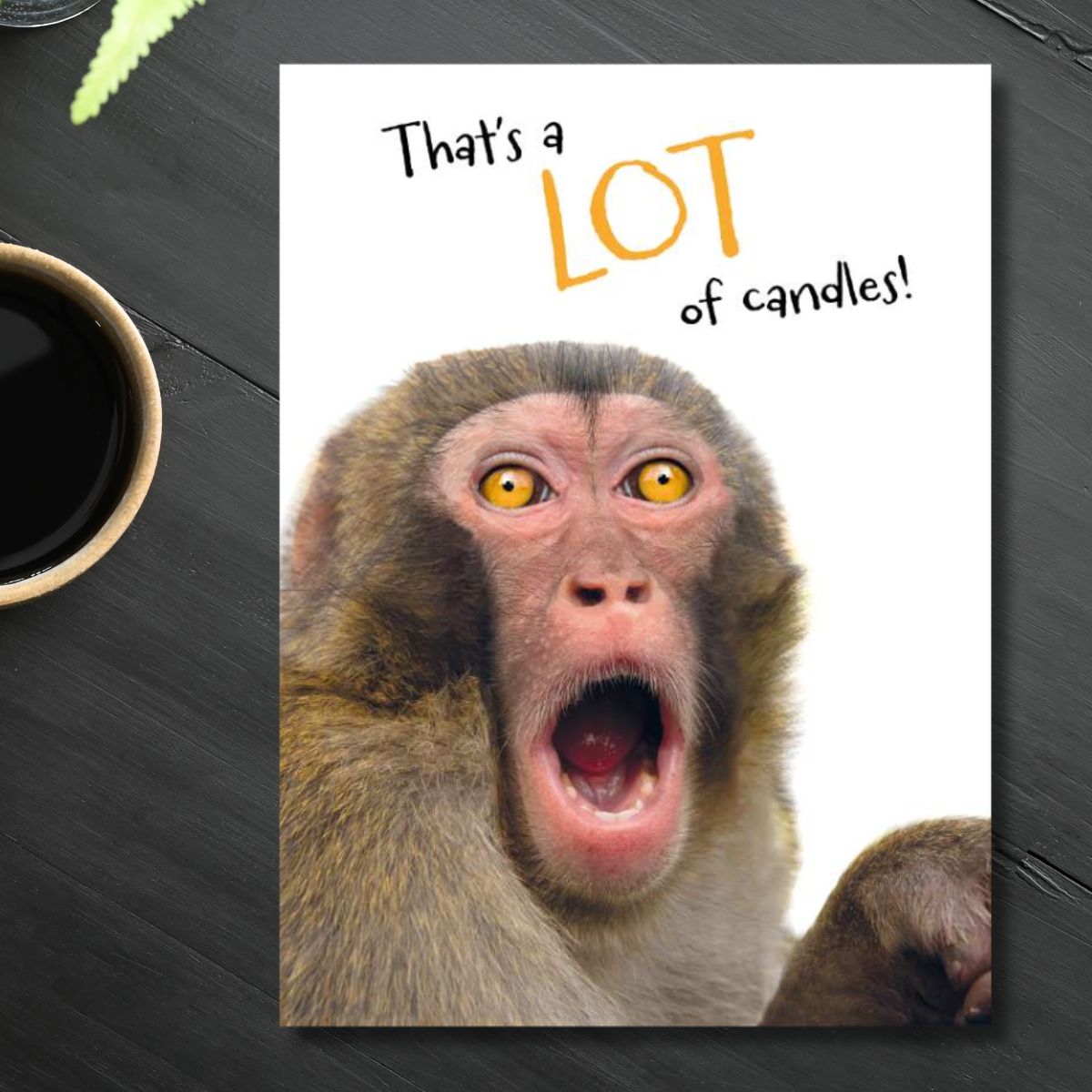 Picture This Funny Birthday Card - That's A Lot Of Candles