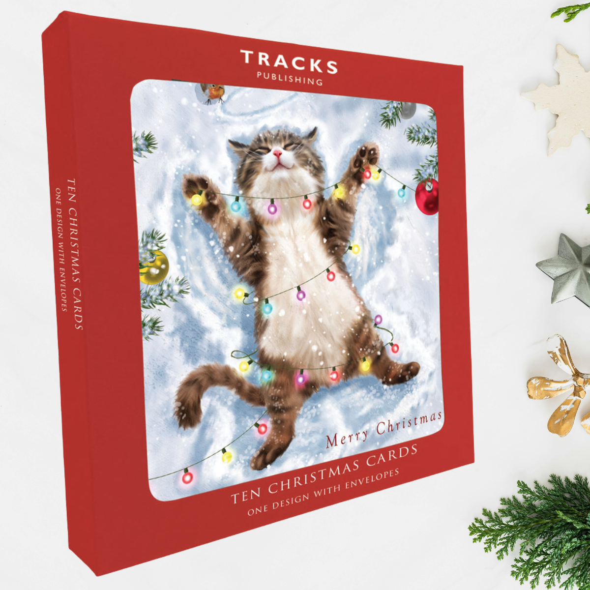 10 x Christmas Cards In Box - Christmas Kitten & Lights