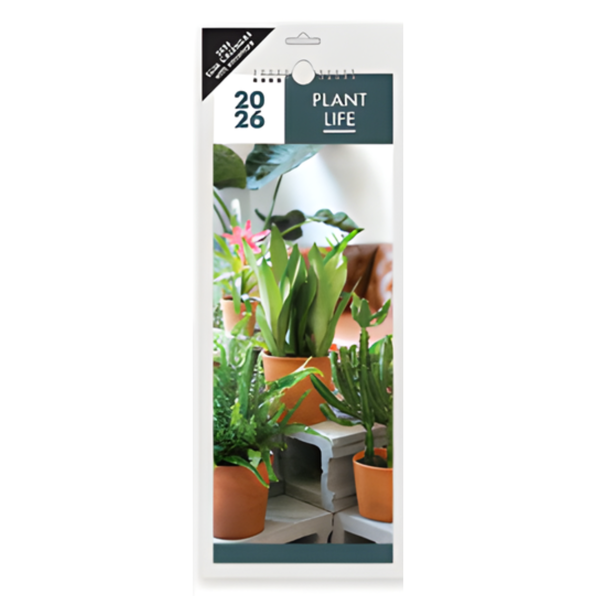 2026 Calendar - Slim Plant Life Photographic