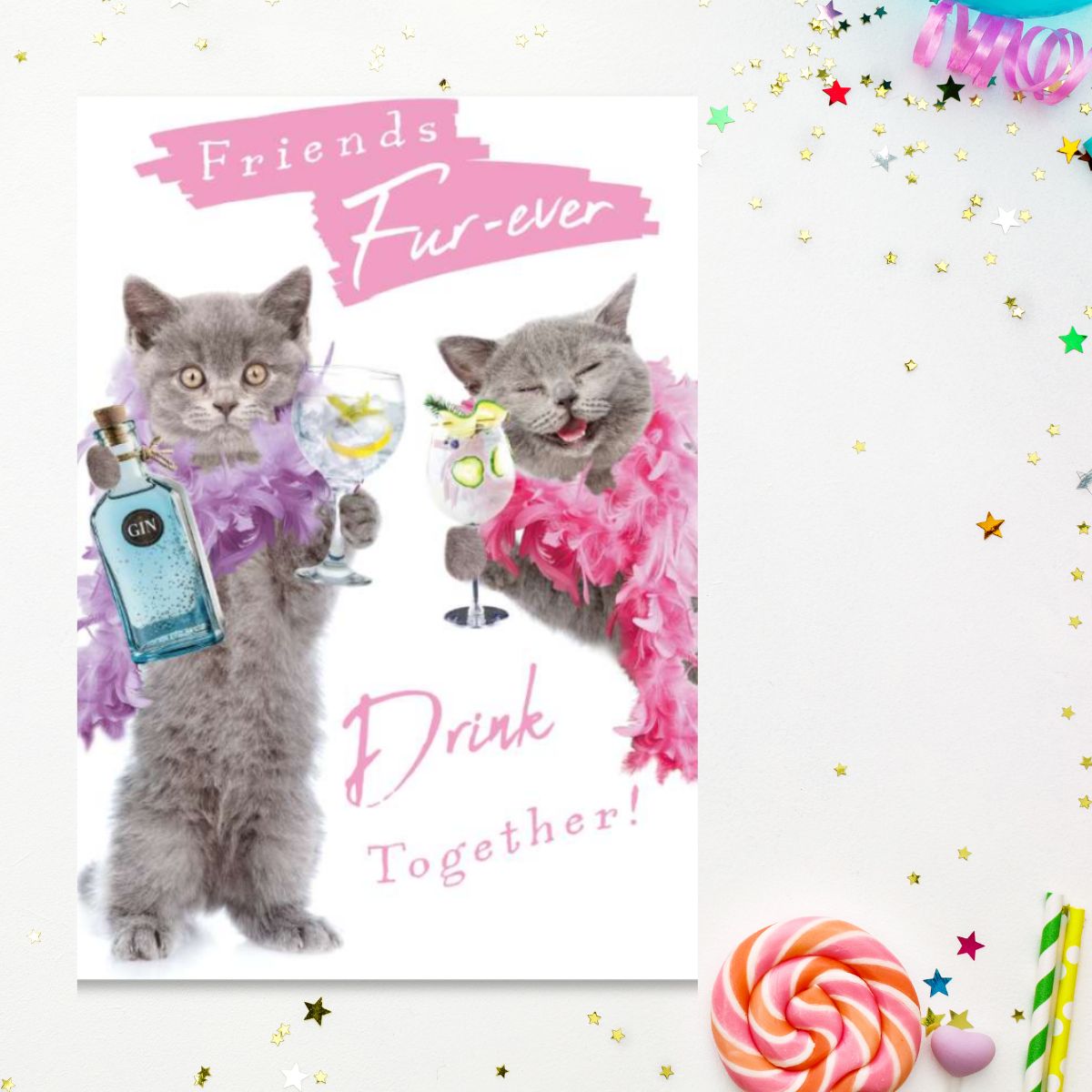 Picture This Funny Birthday Card - Fur-Ever Friends