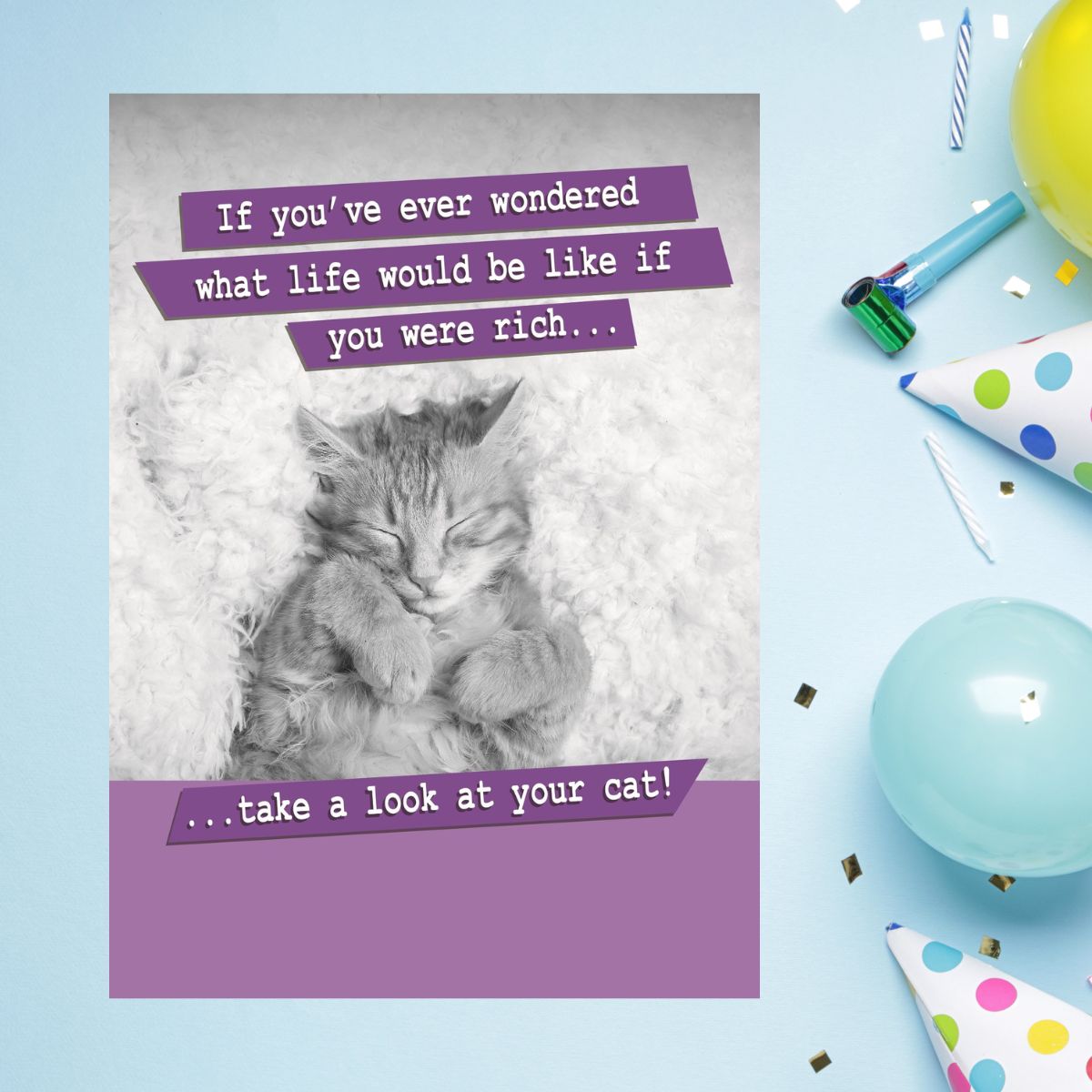 Paw Play Funny Birthday Card - Take A Look At Your Cat!
